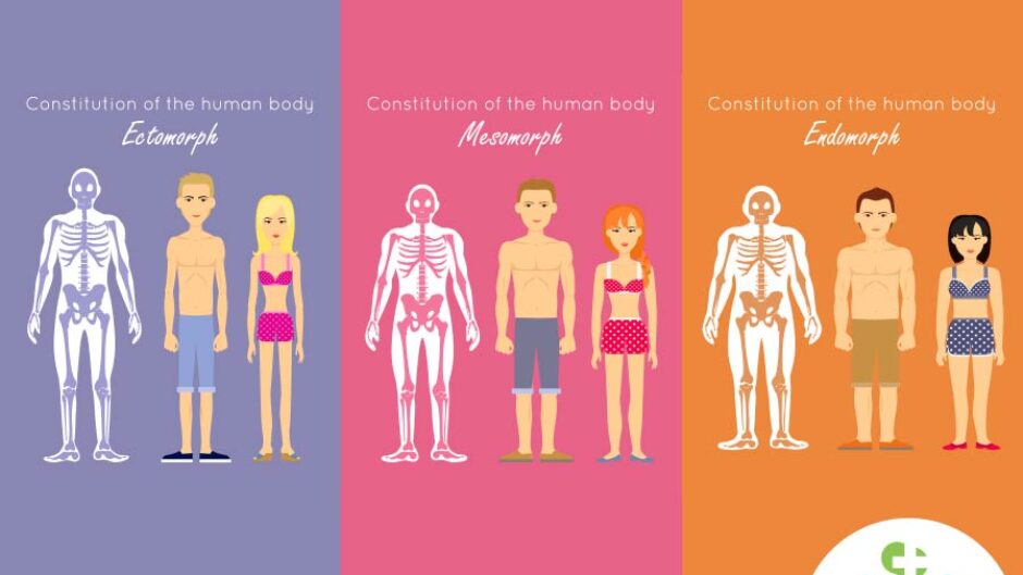 Do You Have An Ectomorph Physique This Is How You Should Consume